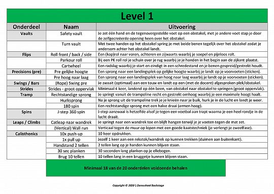 DSB Freerunning Level 1.jpg