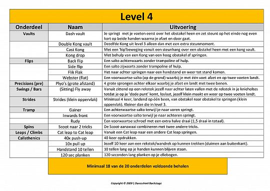 DSB Freerunning Level 4.jpg